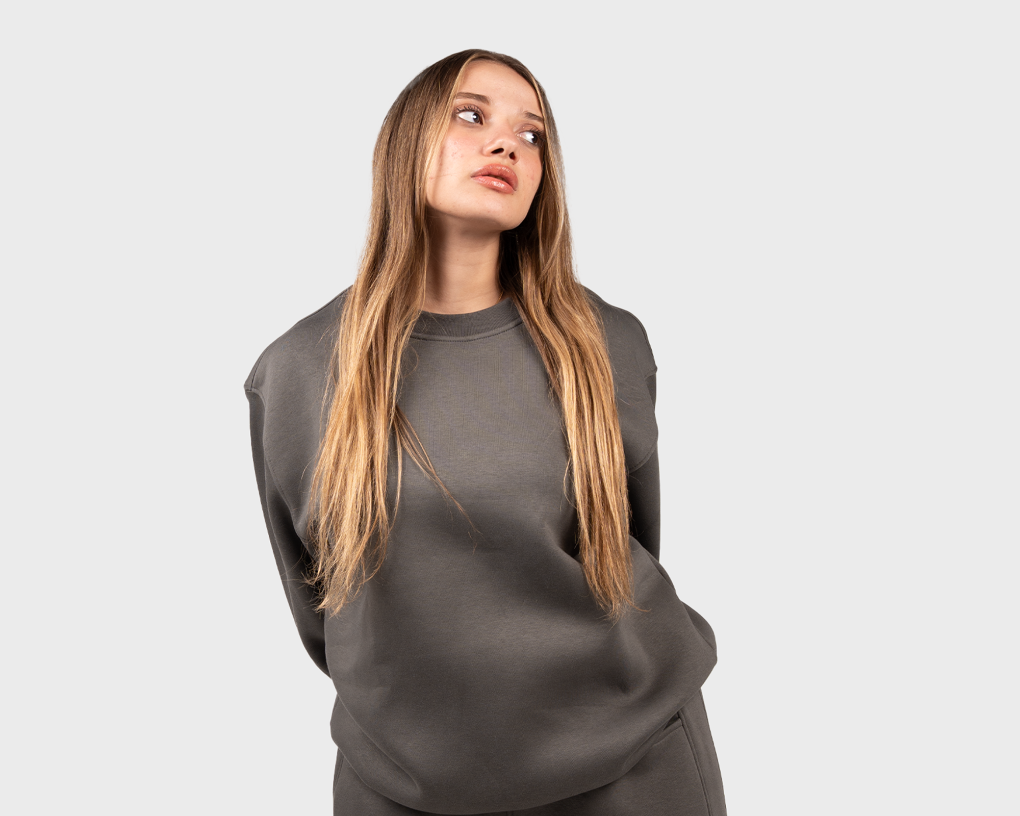 Basic Sweatshirt Gray