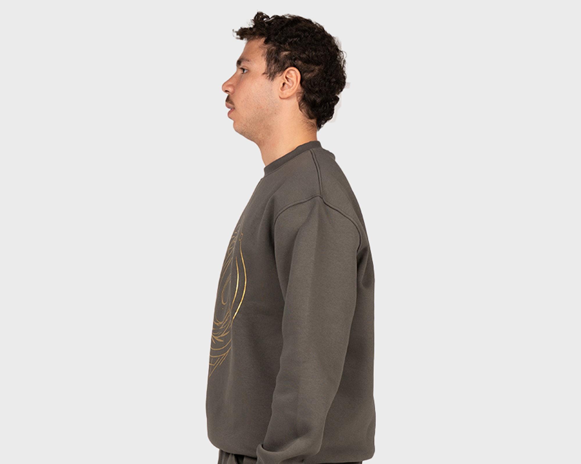 Dragon Galaxy Sweatshirt Gray