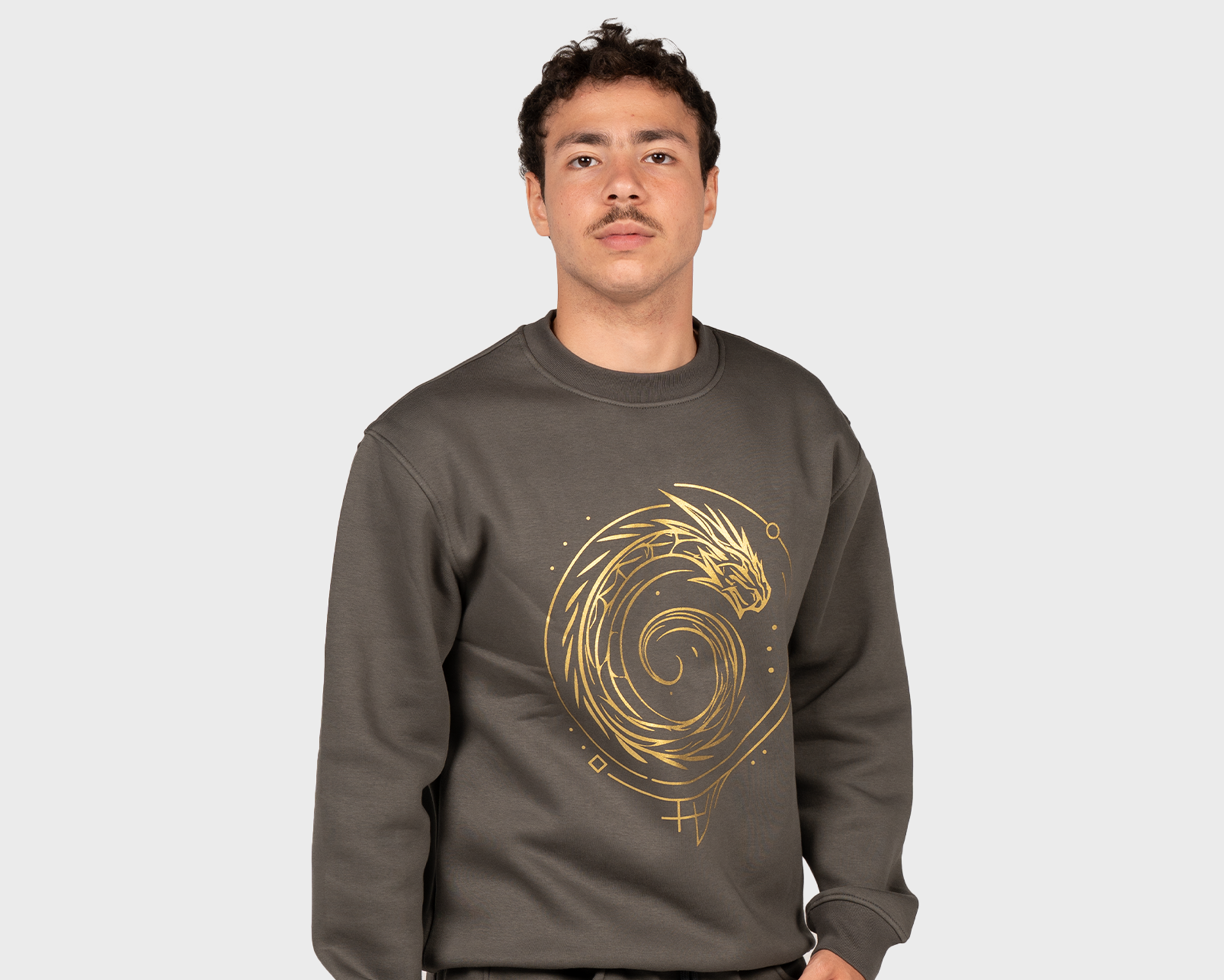 Dragon Galaxy Sweatshirt Gray