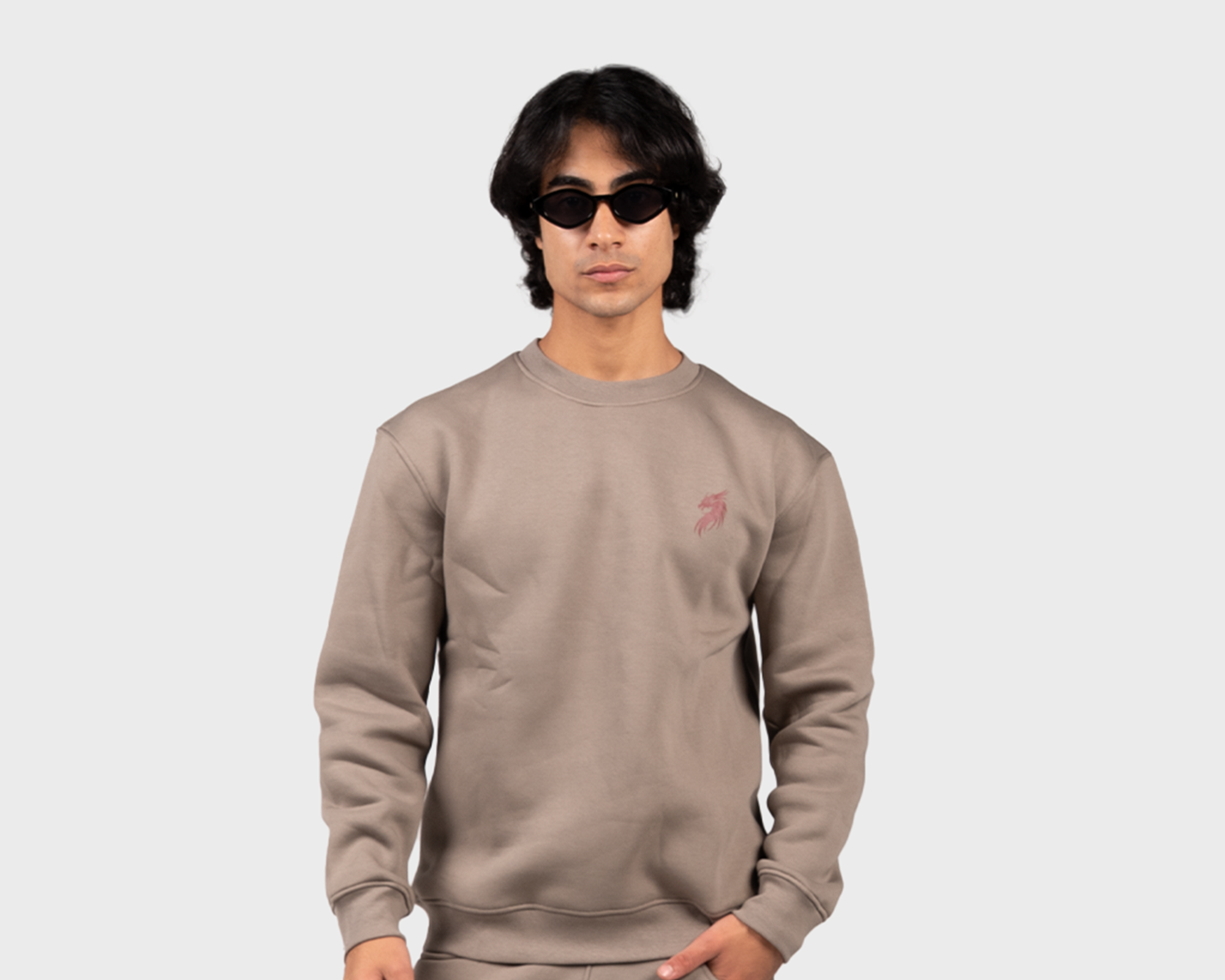 Basic Sweatshirt Beige