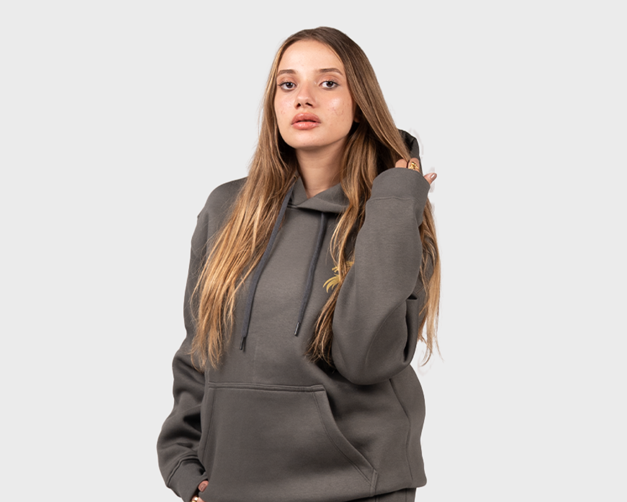 Basic Hoody Gray
