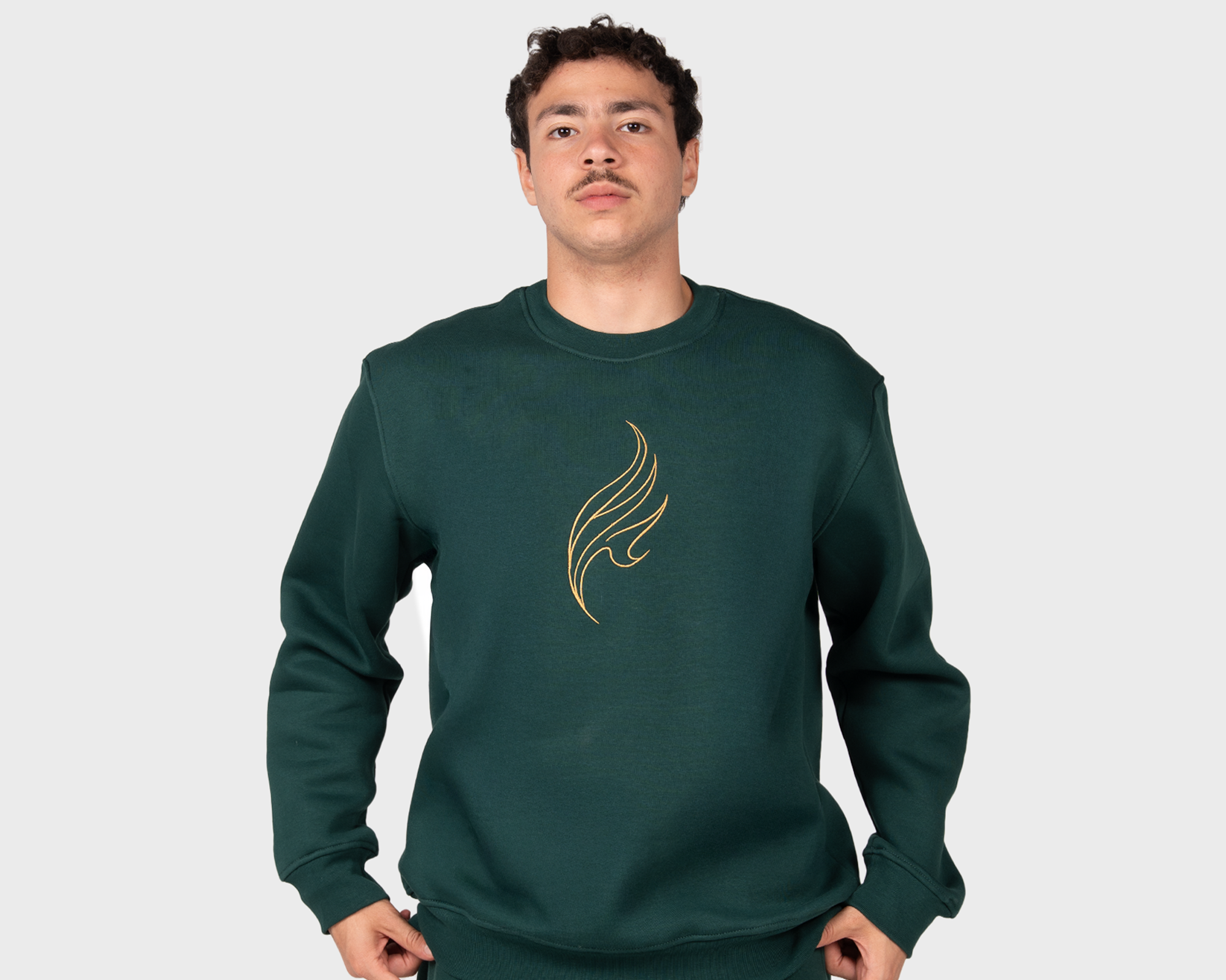 Pyraethra Sweatshirt Emreald
