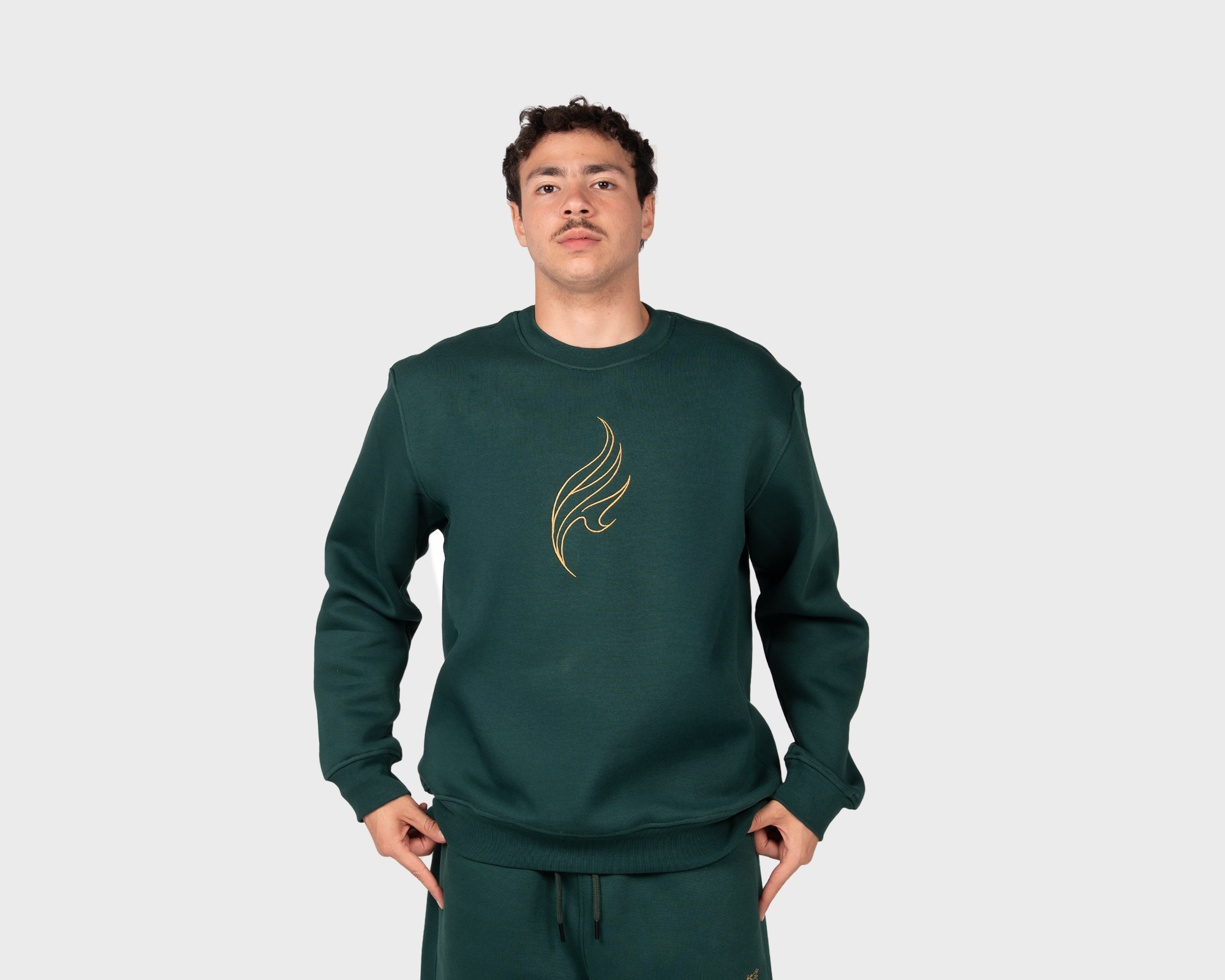 Pyraethra Sweatshirt Emreald