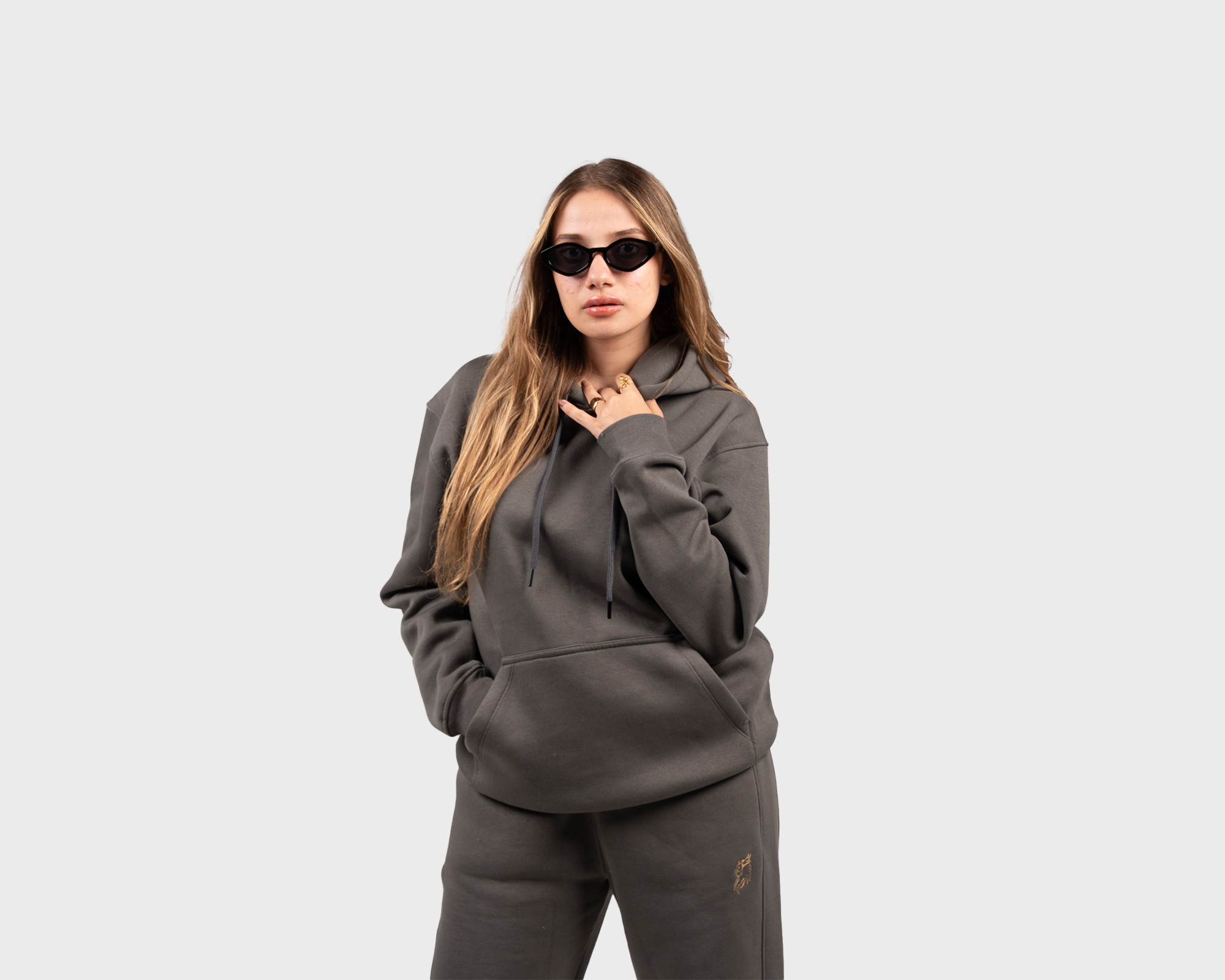 Scaled for Greatness Hoody Gray