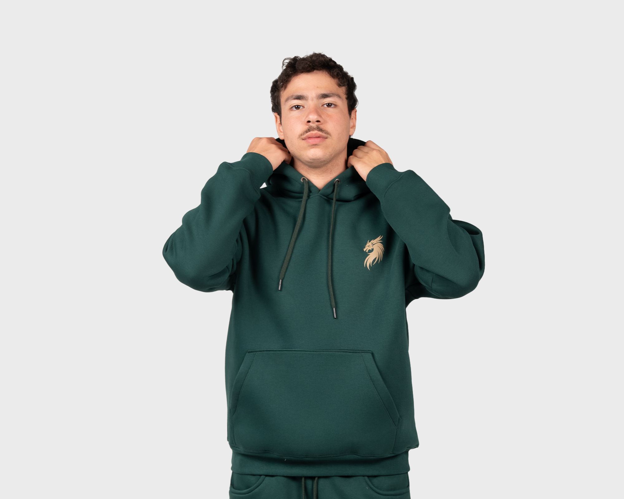 Scaled for Greatness Hoody Emreald