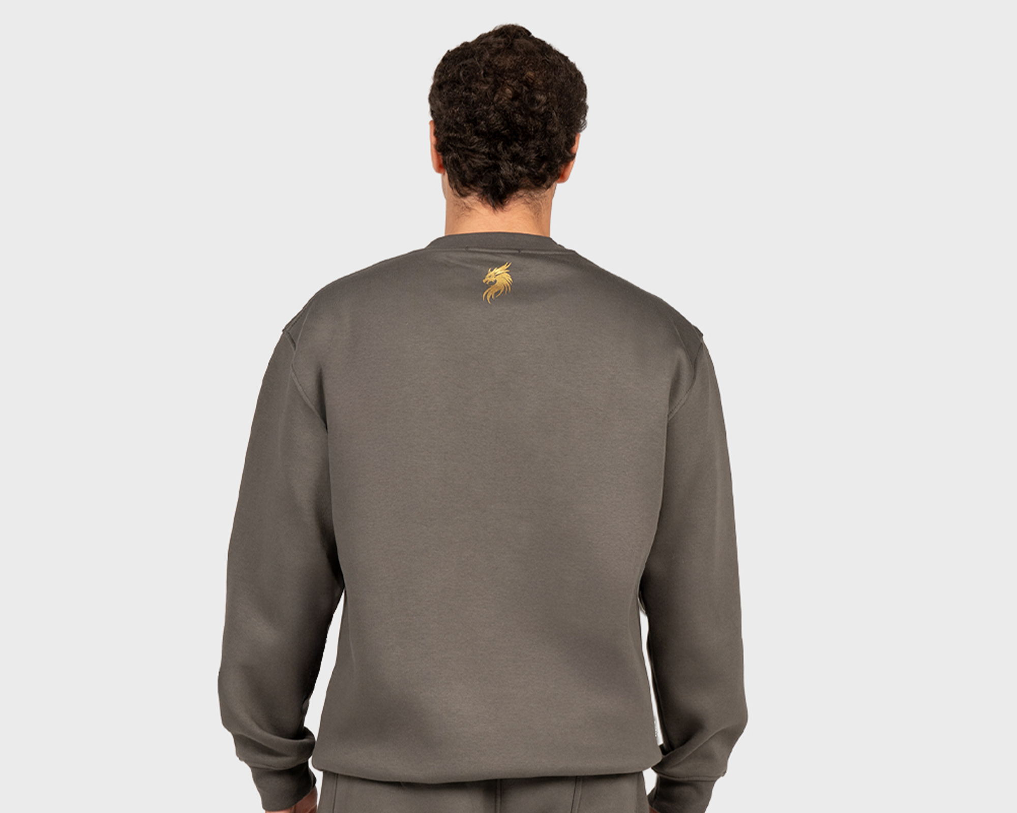 Dragon Galaxy Sweatshirt Gray