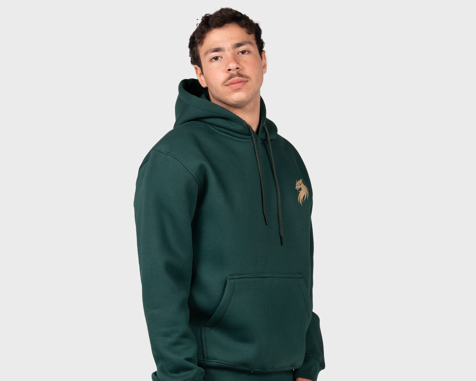 Scaled for Greatness Hoody  Emreald