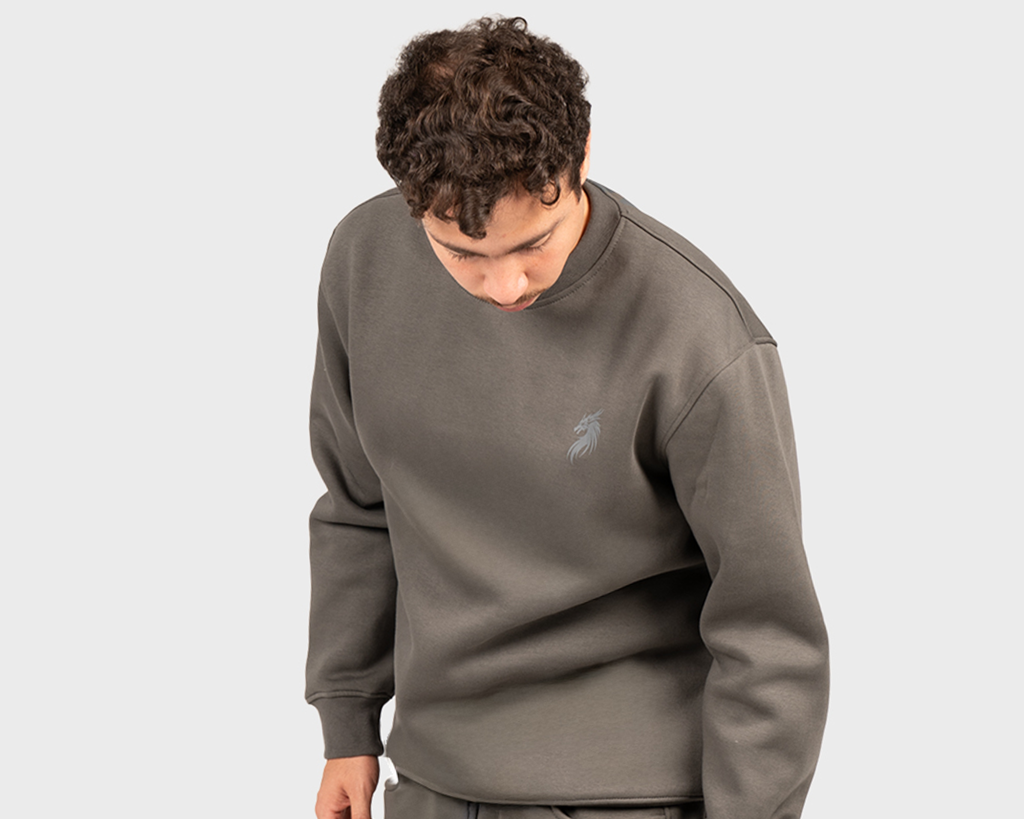 Scales sweatshirt  Gray