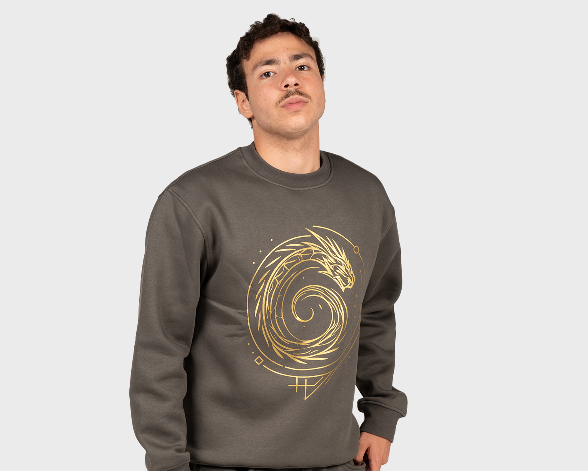 Dragon Galaxy Sweatshirt Gray