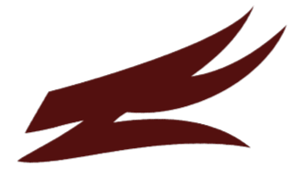 Shawady Dragon